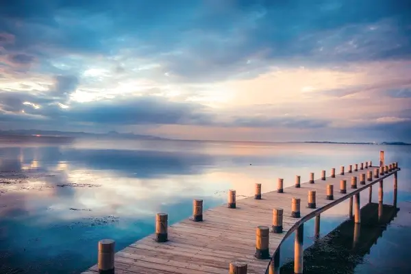 在债的法律关系中什么