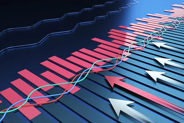 撤消网逃法律条款是什么