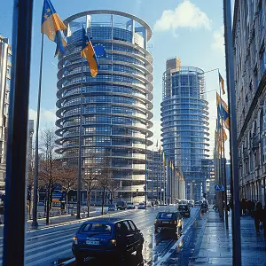 阻挡强拆法律责任是什么