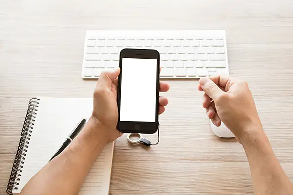 法律文秘专升本学什么