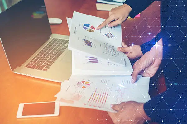 卖熊猫犯什么法律